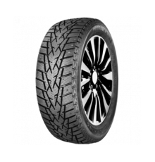 Doublestar WINTERKING DW01 205/65 R16 95T (шип)