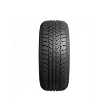 Evergreen EW62 205/60 R16 96H XL