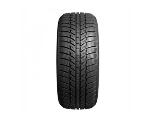 Evergreen EW62 205/60 R16 96H XL