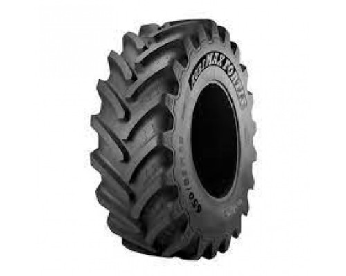 BKT AGRIMAX FORTIS 600/70 R34 163A8/160D